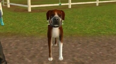 the-sims-3-pets-13