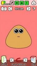 pou-01